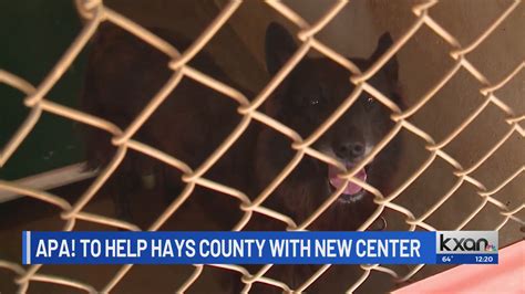 Austin Pets Alive! to assist Hays County in building new animal center